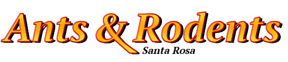 Santa Rosa Ant Exterminator & Rodent Control Company Logo